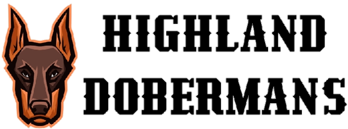 Highland Dobermans